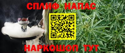сатива Краснознаменск