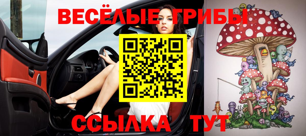 Галлюциногенные грибы Cubensis Иваново